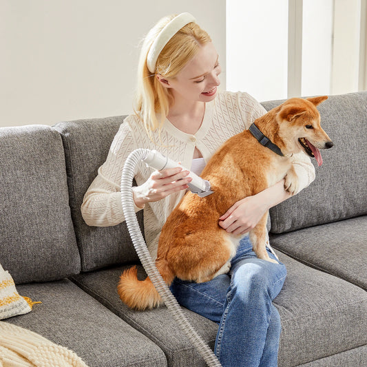 Sweetcrispy Professional Pet Grooming Vacuum Kit With Low Noise Clippers