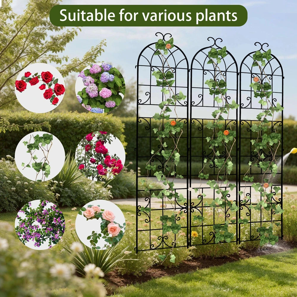 Rustproof Tall Metal Garden Trellis For Climbing Plants And Vines