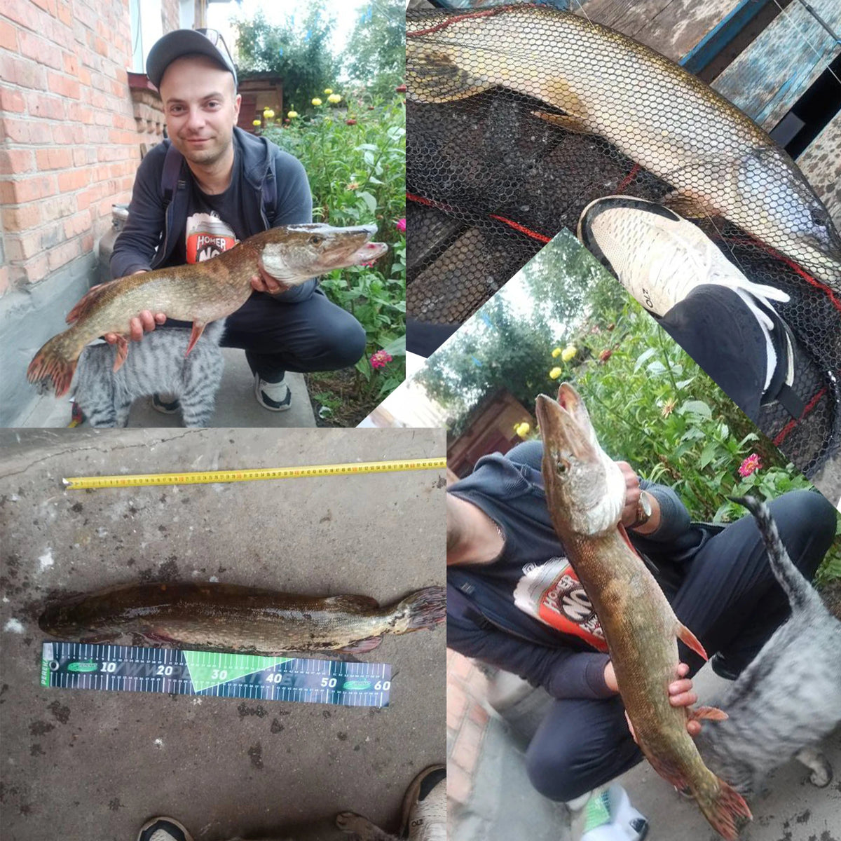Biutifu Bigfish Carp Surfcasting Rod T800 Carbon Spinning