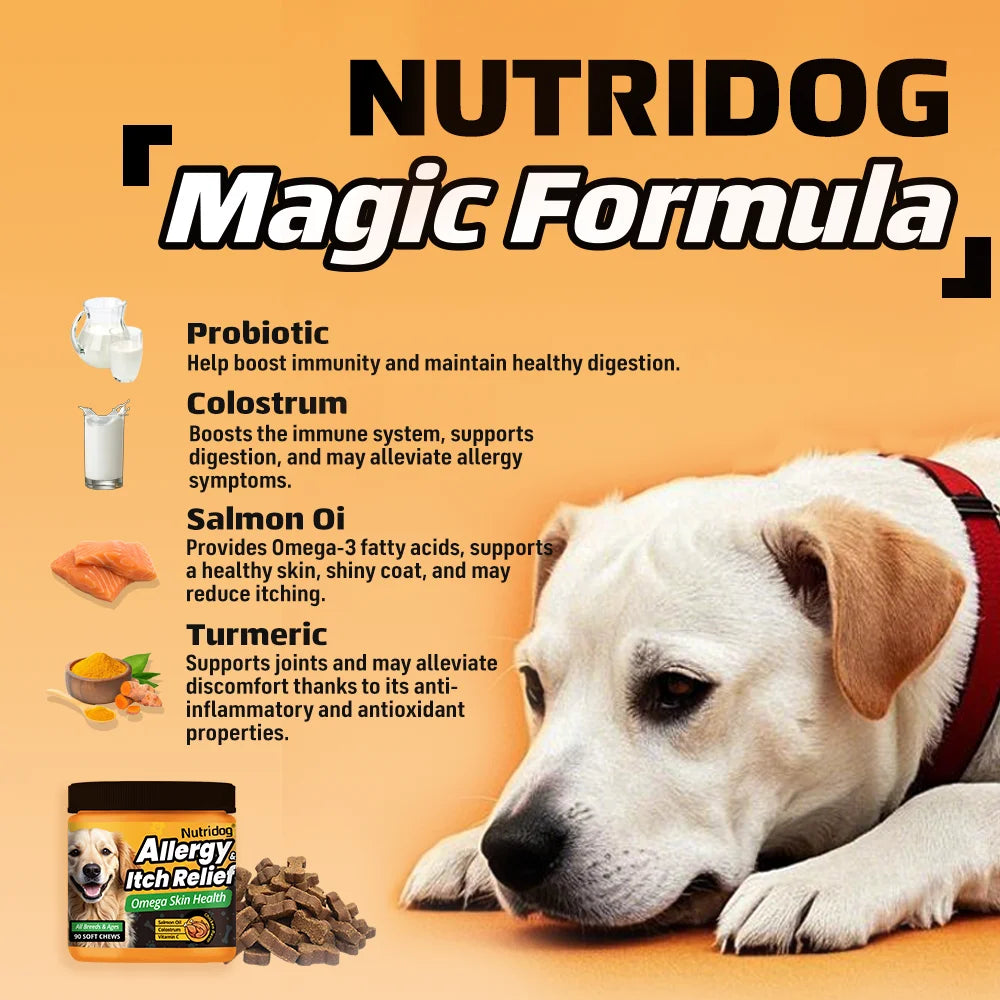 Nutridog Dog Allergy Relief Chews Omega Vitamin C Supplement